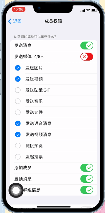 Telegram选择好允许的媒体类型